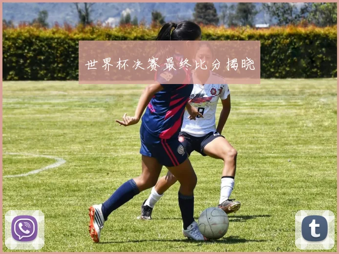 世界杯决赛最终比分揭晓