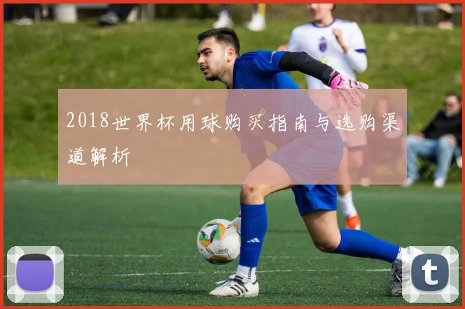 2018世界杯用球购买指南与选购渠道解析